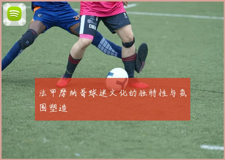 法甲摩纳哥球迷文化的独特性与氛围塑造