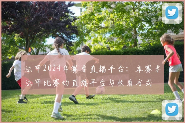 法甲2024年赛季直播平台：本赛季法甲比赛的直播平台与收看方式