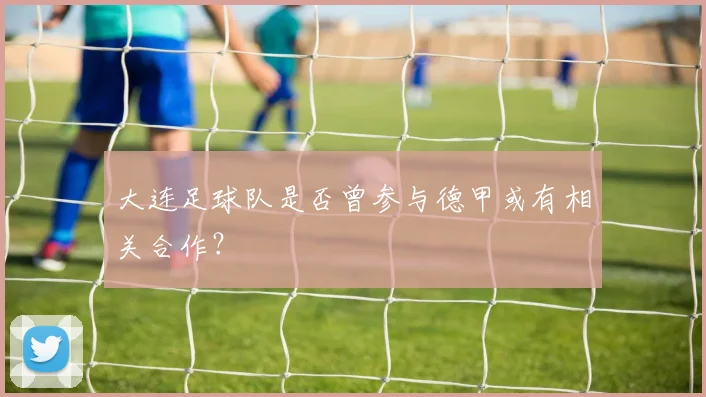 大连足球队是否曾参与德甲或有相关合作？