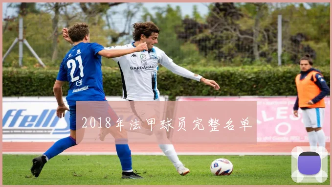 2018年法甲球员完整名单